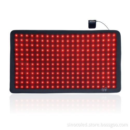 Red Light Therapy Veterinary Instruments for Equine and Canine Care